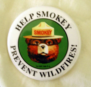 Smokey Bear button